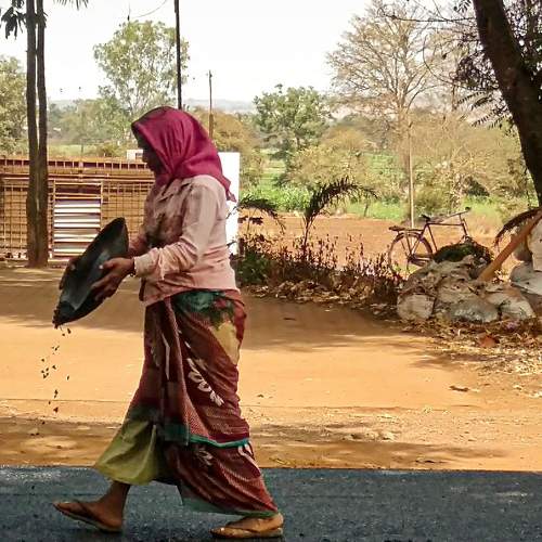 Photo #7595731