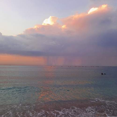 Photo #7595847