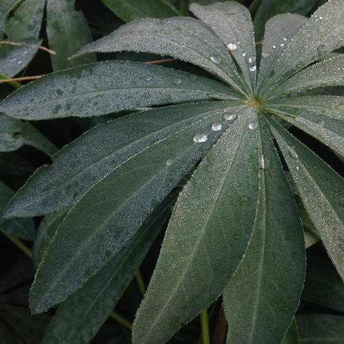Photo #7595864