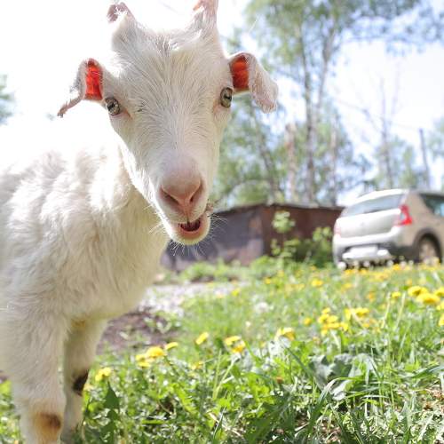 Photo #7595948