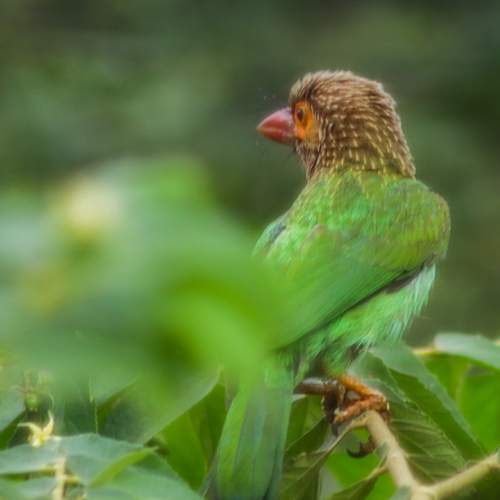 Photo #7595994