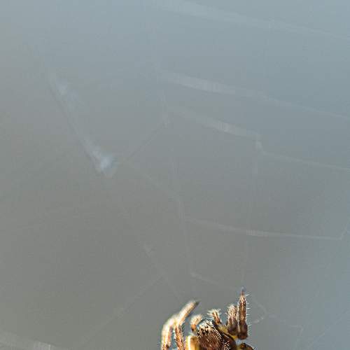 Photo #7596058