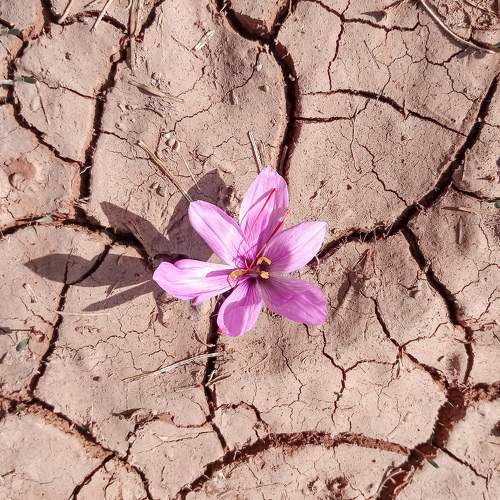 Photo #7596454