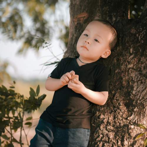 Photo #7596507