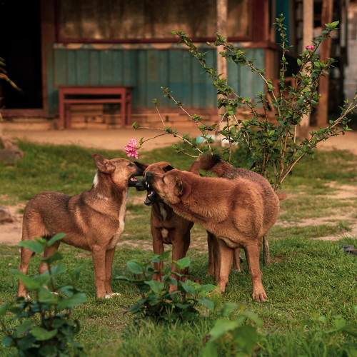 Photo #7596693