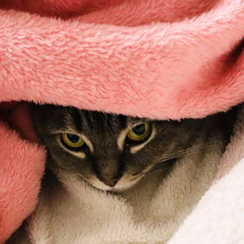 Photo #7597049