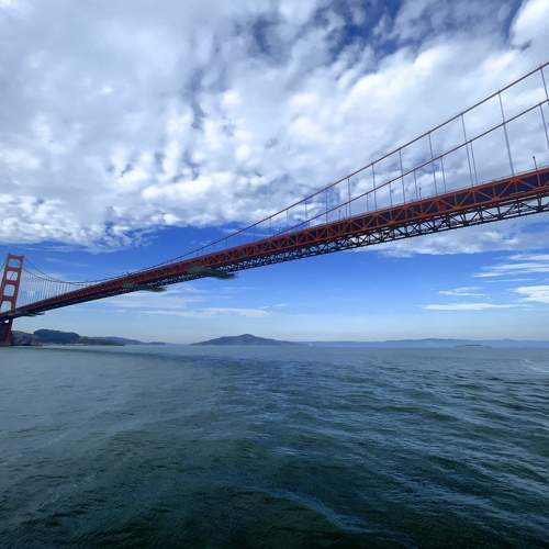 Photo #7597195