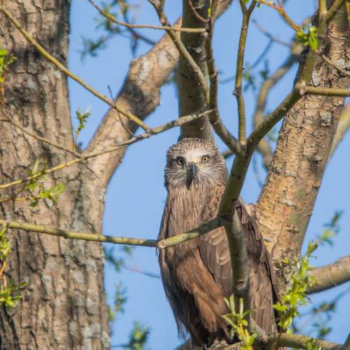 Photo #7597359