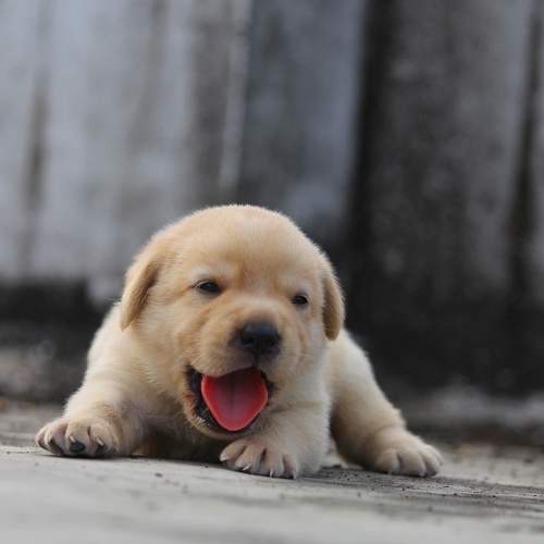 Photo #7597427