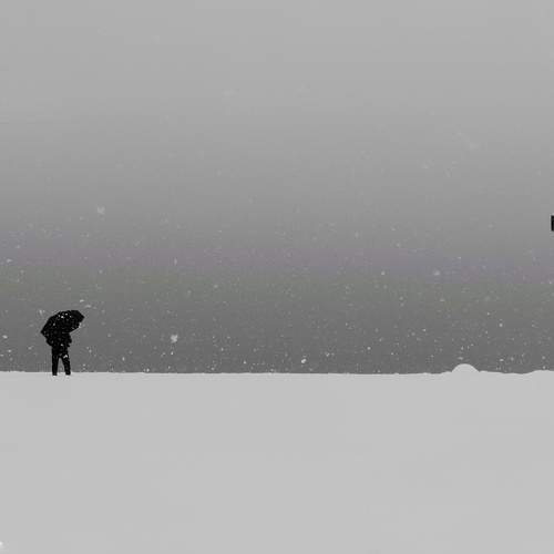Photo #7597458