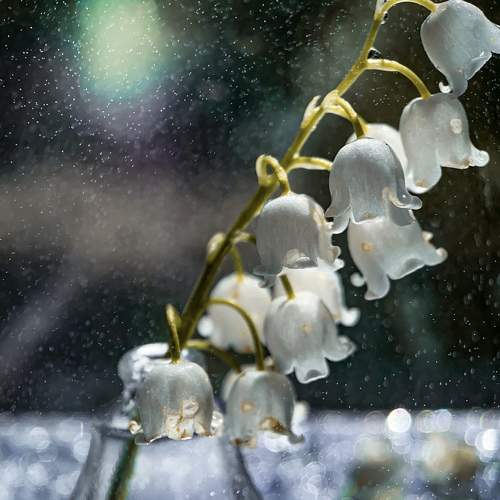 Photo #7597746