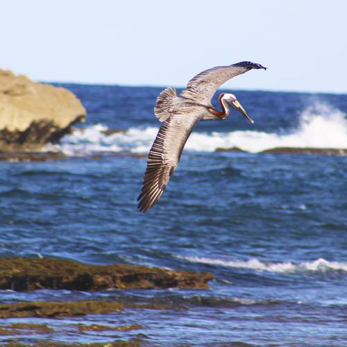 Photo #7598281