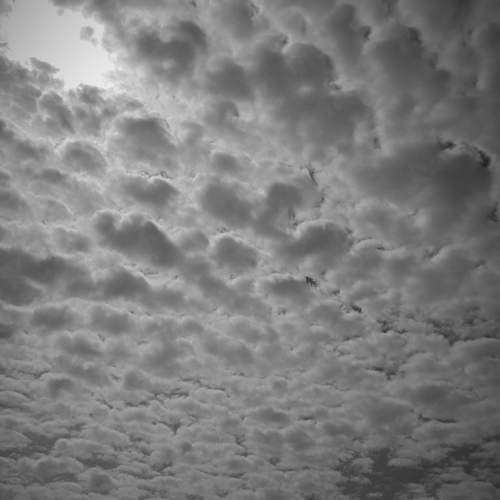 Photo #7598355