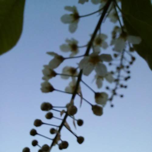Photo #7598413