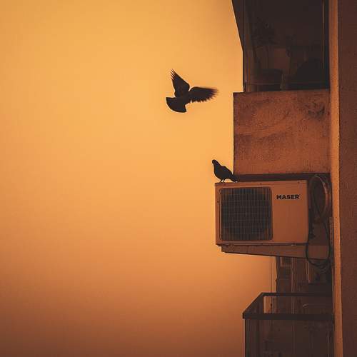 Photo #7598577