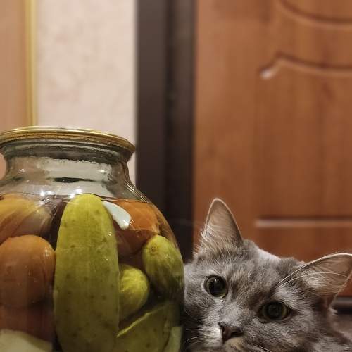 Photo #7598595