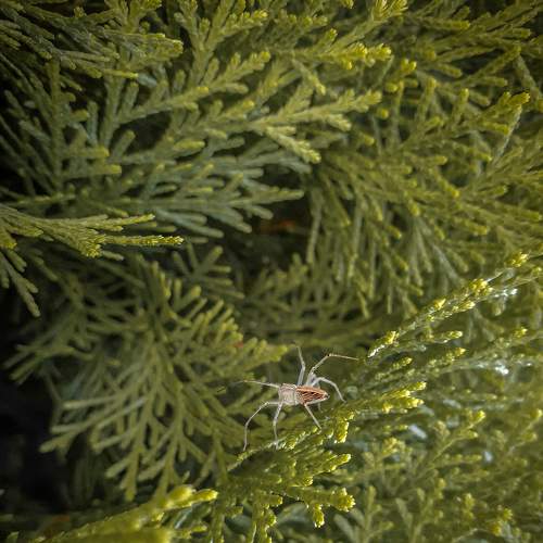 Photo #7598604