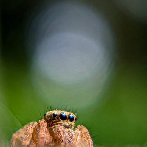 Photo #7598954