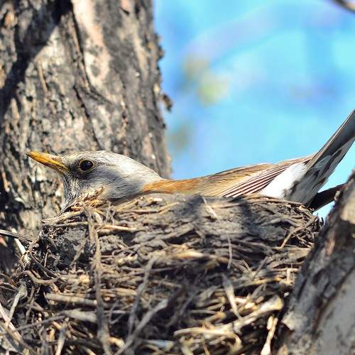 Photo #7599063