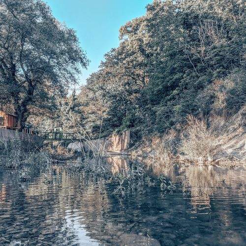 Photo #7599202
