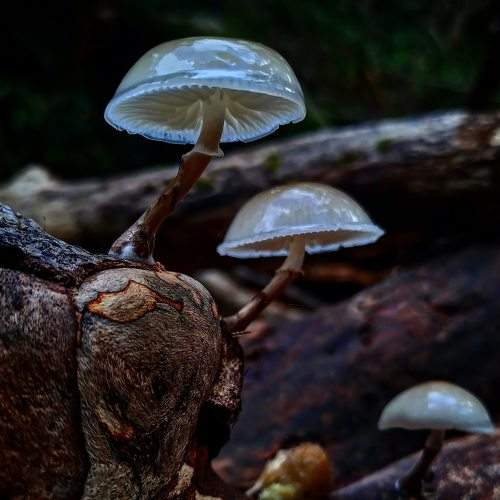 Photo #7599356