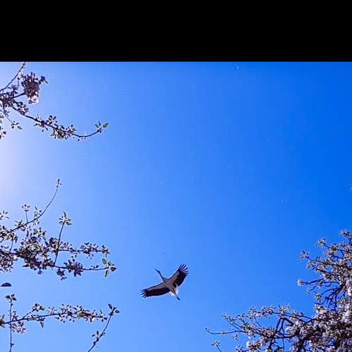 Photo #7599467