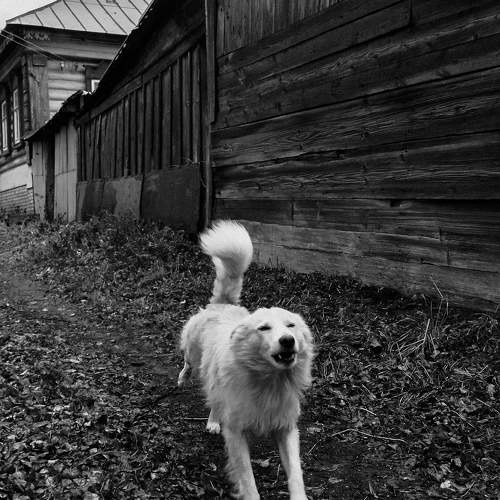 Photo #7599532