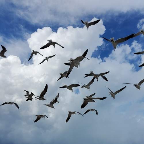 Photo #7599881