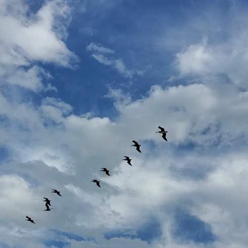 Photo #7599923