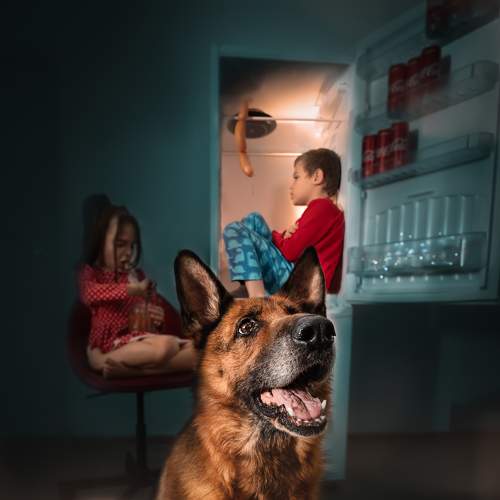 Фотография #7600067