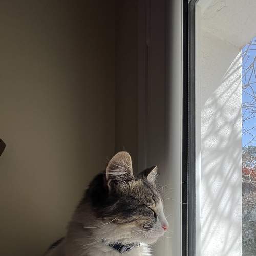 Photo #7600230