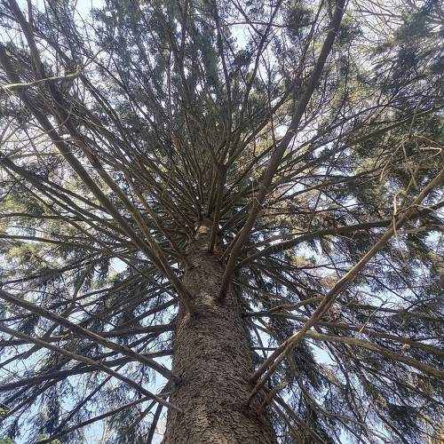 Photo #7600320