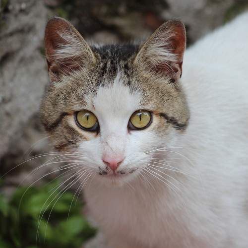 Photo #7600758