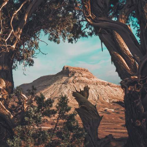 Photo #7600934