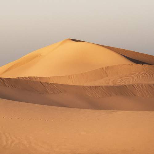 Photo #7600941