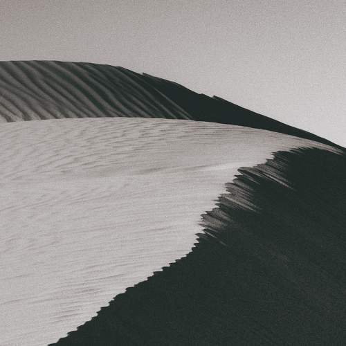 Photo #7600997