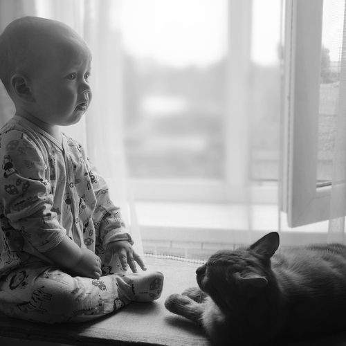 Photo #7601012
