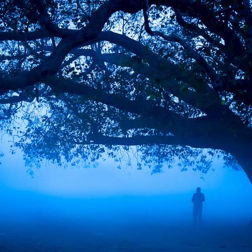 Morning blues