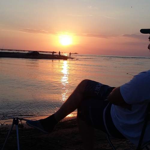 Photo #7601552