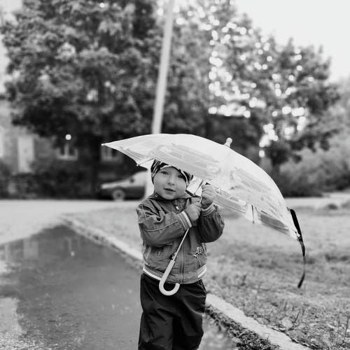 Photo #7601750