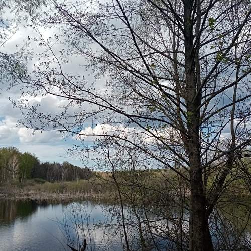 Photo #7601910