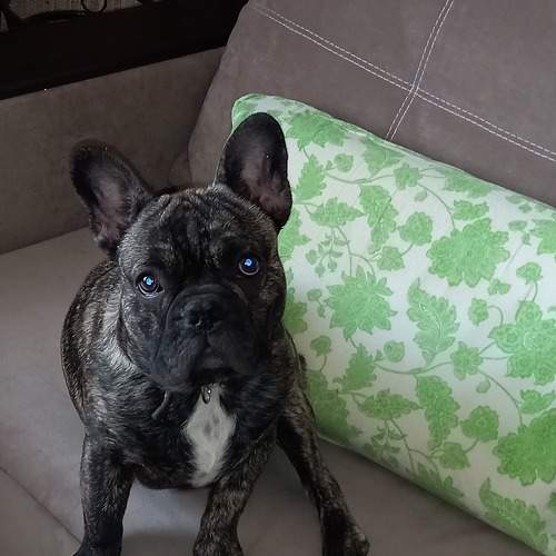 Photo #7602147