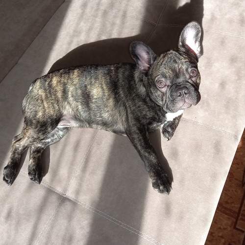 Photo #7602149