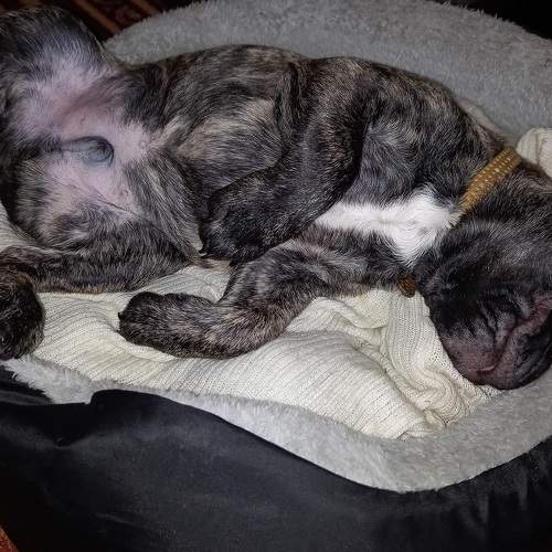 Photo #7602176