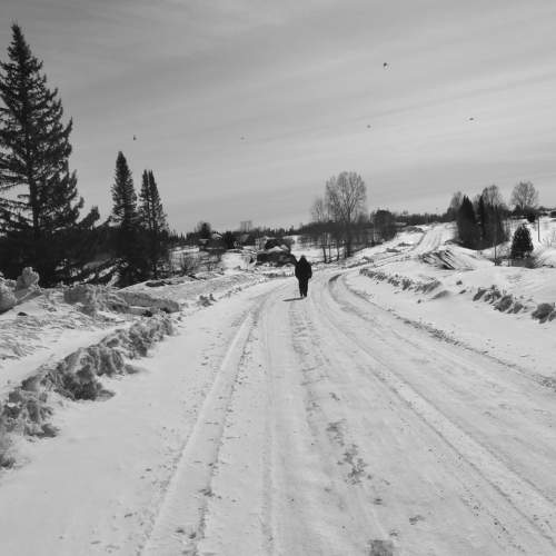 Photo #7602305