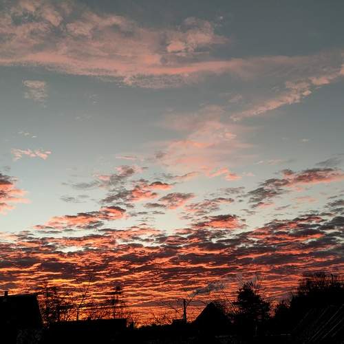 Photo #7602332
