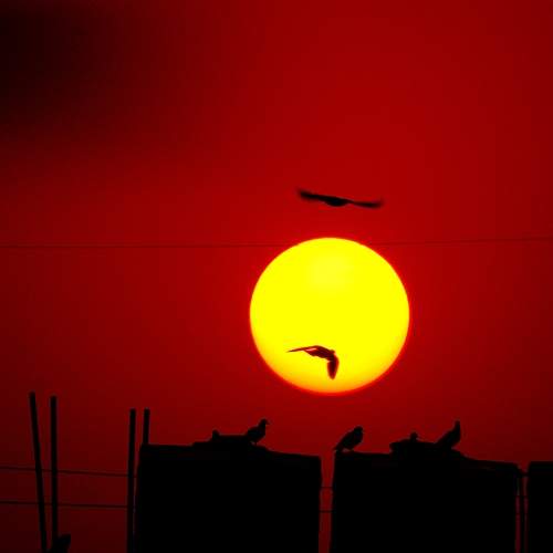 A Sunset