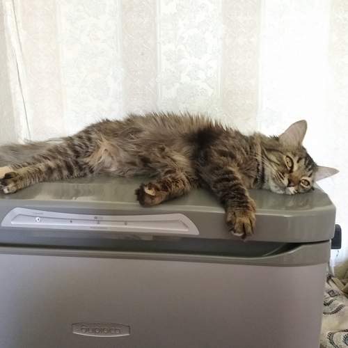 Photo #7602689