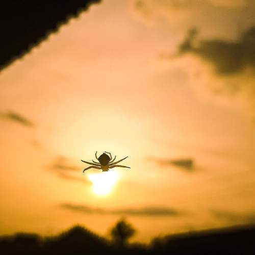 Photo #7602693