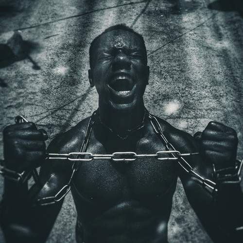 Photo #7602799